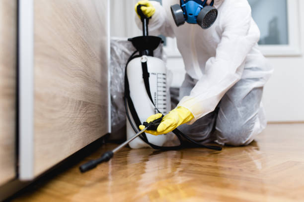 Best Affordable Pest Control Services  in Perry Heights, OH
