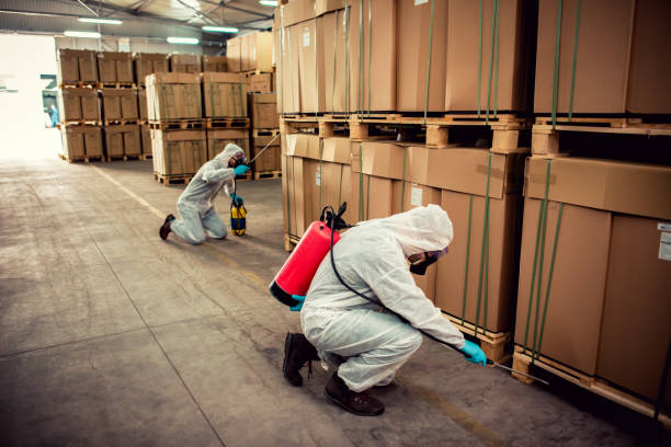 Best Rat Extermination Near Me  in Perry Heights, OH