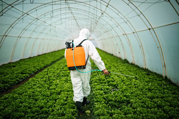 Best Mosquito Control Services  in Perry Heights, OH