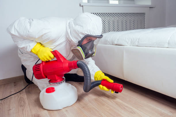Best Cockroach Control Services  in Perry Heights, OH