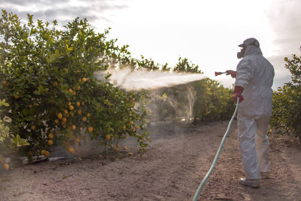 Best Pest Prevention Services  in Perry Heights, OH