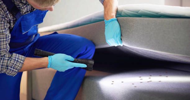 Flea Control Services in Perry Heights, OH