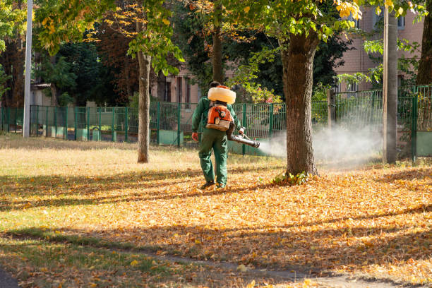 Best Wildlife Control Services  in Perry Heights, OH